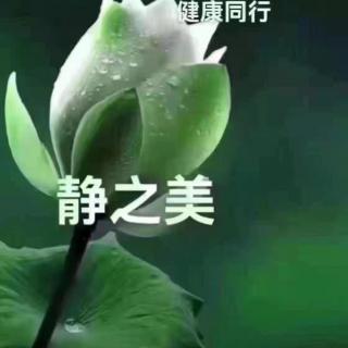 杨绛 学会一个人生活