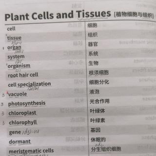 Plant Cells and Tissues植物细胞与组织