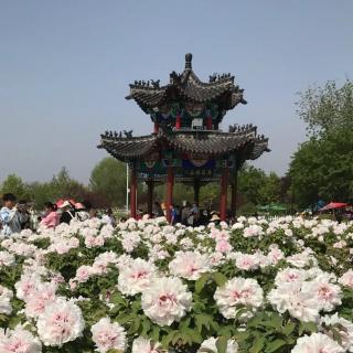 题破山寺后禅院