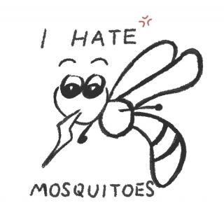 2023.04.24【English Mosaic】Mosquitoes！No！