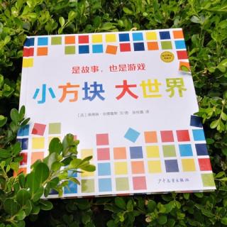 卡蒙加幼教集团郑老师-----《小方块 大世界》