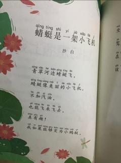 和大人一起读四蜻蜓是一架小飞机