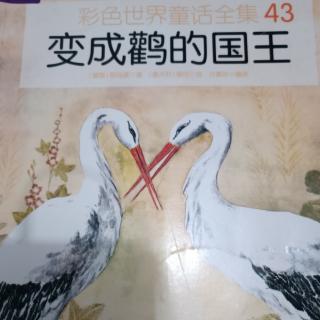 《变成鹳的国王》