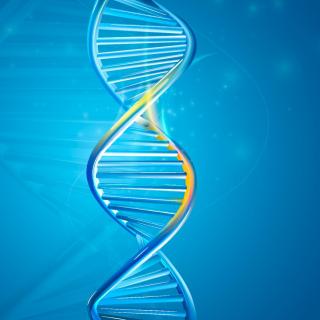 凝视双螺旋，从人类基因组到人人基因组