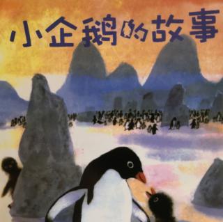 小企鹅的故事（上）