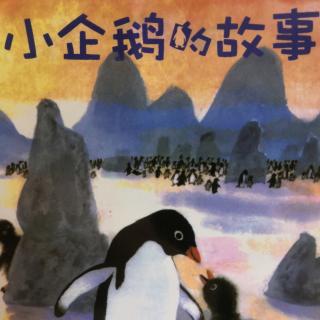 小企鹅的故事（三）