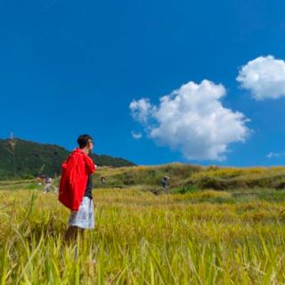 写一封信寄给未来的自己（作者 碑林路人）