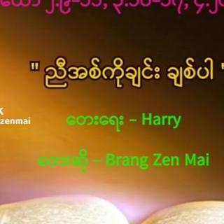 ညီအစ်ကို အချင်း ချစ်ပါ-Vocalist-Brang Zen  Mai