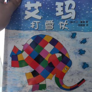 20230429花格子大象🐘艾玛打雪仗