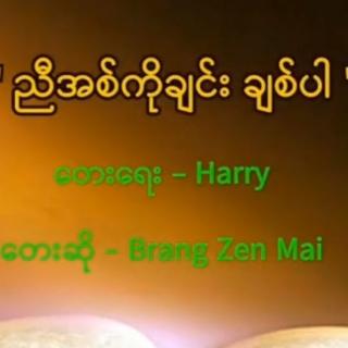 ညီအစ်ကိုချင်း ချစ်ပါ
Vocal~S.Brang Zen Mai