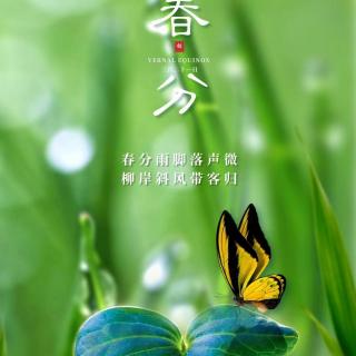 2023-4-30《中庸》第6章第7章（明月）