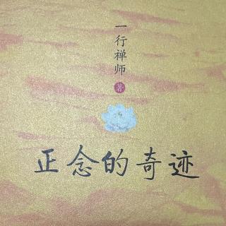 4-30 《正念的奇迹》P 45-50页