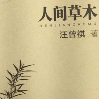 《师友相册》星斗其文赤子其人