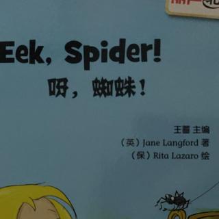 Eek，spider