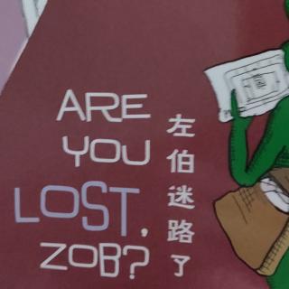 Are you lost，Zob?