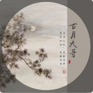 《怦然心动》作者：古冃大哥 诵读：木兰诗雨