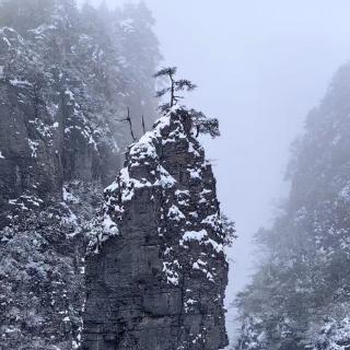 立夏，万物至此皆长大