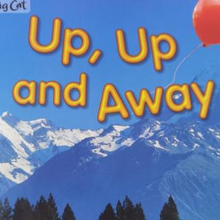 Big cat-Up up and away