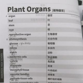 Plant Organs植物器官