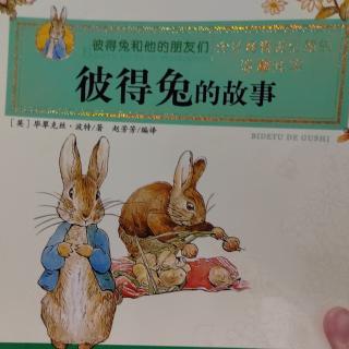 彼得兔的故事#馨柔讲绘本