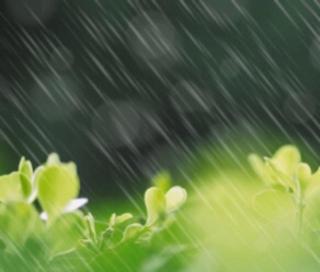 《清明，我与你在春雨里邂逅》作者：朱明熙～诵读：明媚