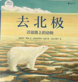 自然故事（第二辑）—去北极 迁徙路上的动物们