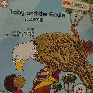 Toby  and  the  Eagle