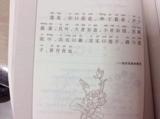 《跟我学小古文》莲