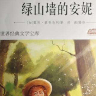 绿山墙的安妮12:紫水晶别针风波