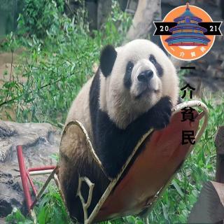 210-国宝熊猫一些不为人知的故事！
