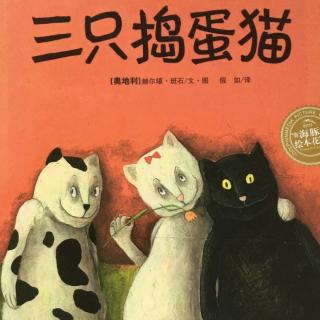 三只捣蛋猫🐱