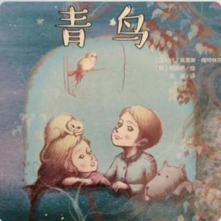 《青鸟》——第四章下