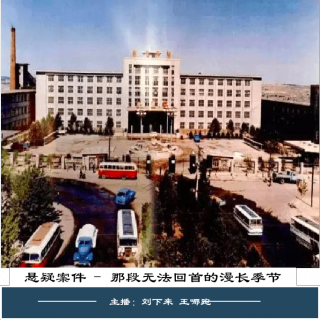 49. 再回首那个漫长的季节：1995年黑龙江鹤岗案