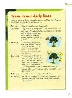 Trees in our daily lives