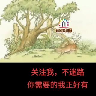 小兔子乖乖