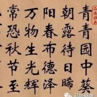 长歌行  汉乐府