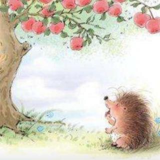 榆中县定远镇中心幼儿园宝宝电台-偷苹果的刺猬