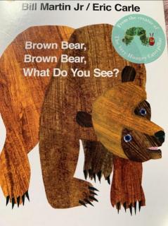 Coco合作Brown Bear