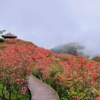 [晓生枕边书]人生海海，走着弯路很重要