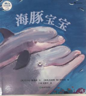 自然故事（第三辑）—海豚宝宝