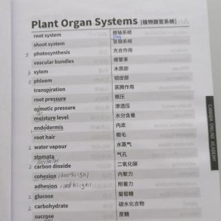 Plant Organ Systems植物器官系统