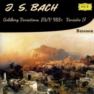 巴赫：（巴松管版）哥德堡变奏曲BWV 988：变奏17  托卡塔风格
