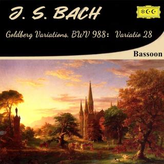 巴赫：（巴松管版）哥德堡变奏曲BWV 988：变奏28  华丽的震音