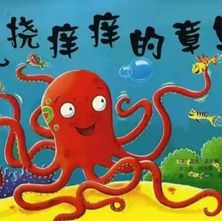 乱挠痒痒的章鱼🐙