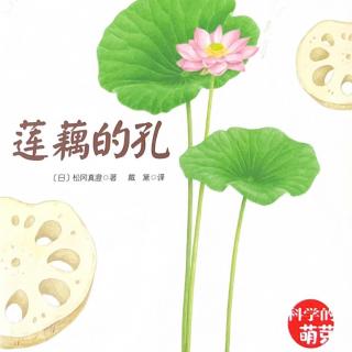 丸子姐姐第257期-【科学的萌芽】《莲藕的孔》