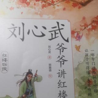 红楼四侠4醉侠金刚（小百科）