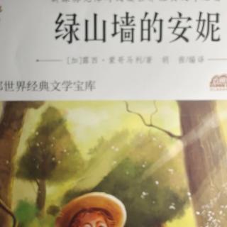 绿山墙的安妮14:惹麻烦的茶会