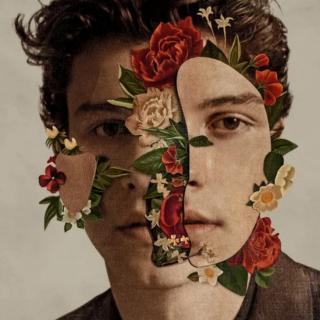  《Fallin' All In You》
Vocal~Shawn Mendes