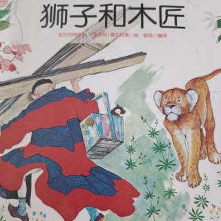 《狮子和木匠🦁》