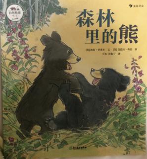 自然故事（第三辑）—森林里的熊